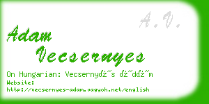 adam vecsernyes business card